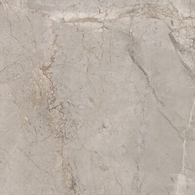 Arceto Argento 60x60 Blank