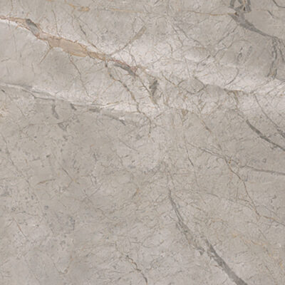 Arceto Argento 60x60 Blank