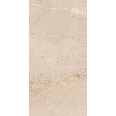 Arceto Beige 60x120 Blank