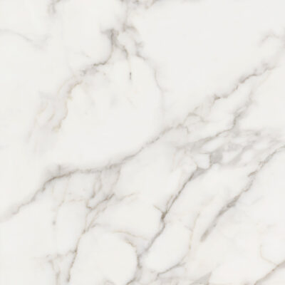 Arceto Calacatta 120x120 Blank