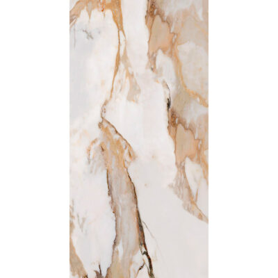 Arceto Dorato 60x120 Blank