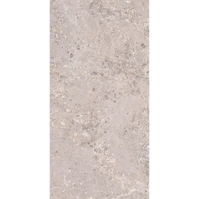 Tonda Argento 60x120 Mat