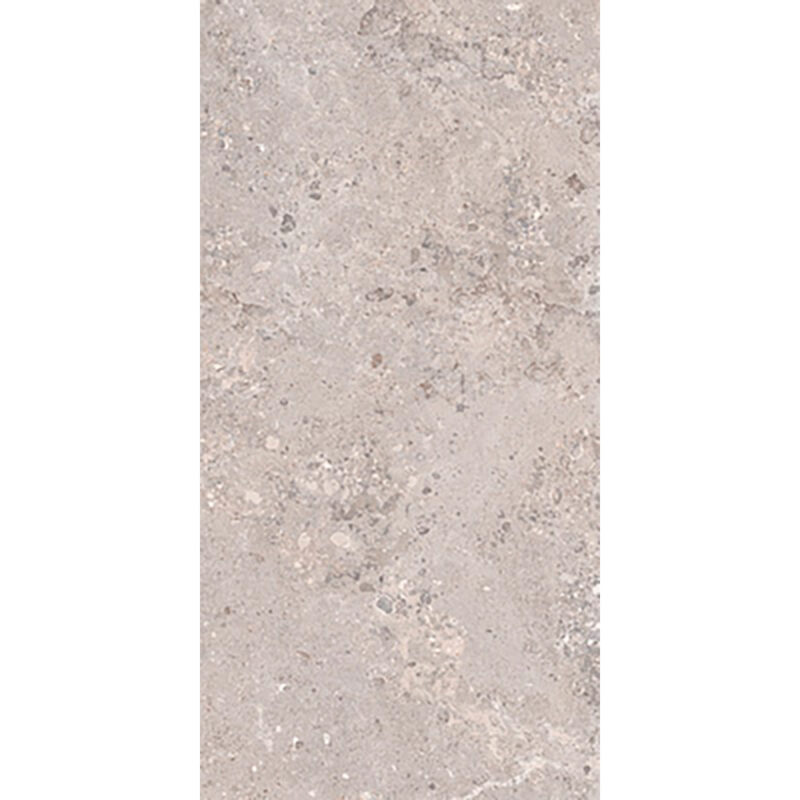 Tonda Argento 60x120 Mat