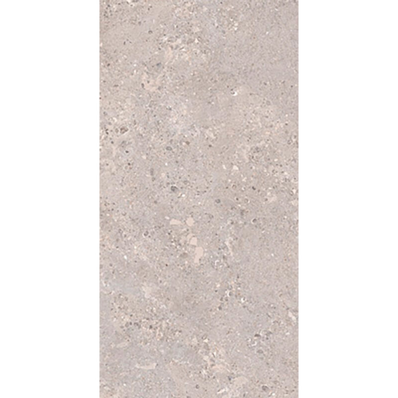 Tonda Argento 60x120 Mat - Billede 2