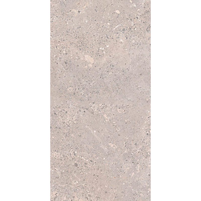 Tonda Argento 60x120 Mat - Billede 3