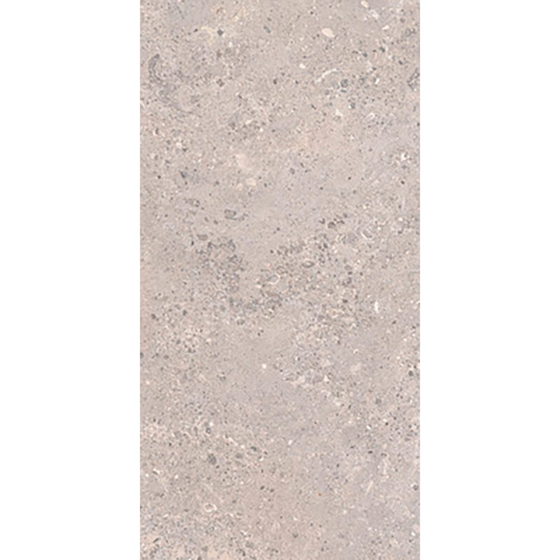 Tonda Argento 60x120 Mat - Billede 5