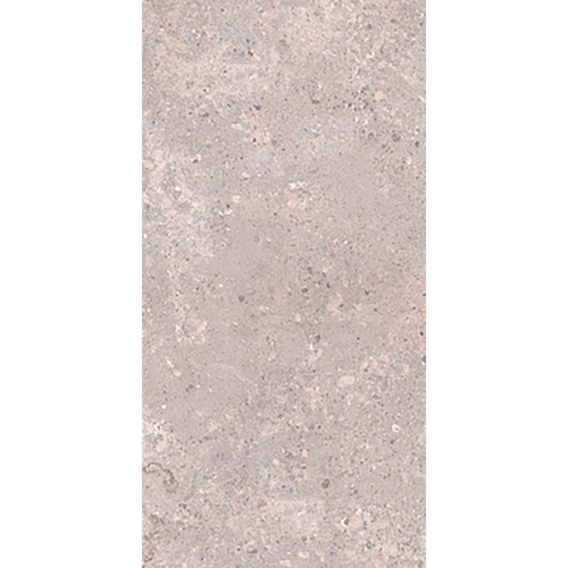 Tonda Argento 60x120 Mat - Billede 6