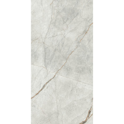 Voltana Argento 60x120 Blank