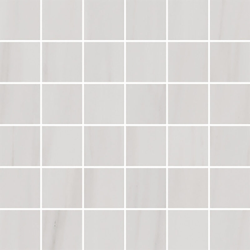 Ancona Dolomite 30x30 Blank Mosaik - Billede 3