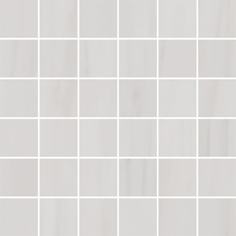 Ancona Dolomite 30x30 Blank Mosaik - Billede 4