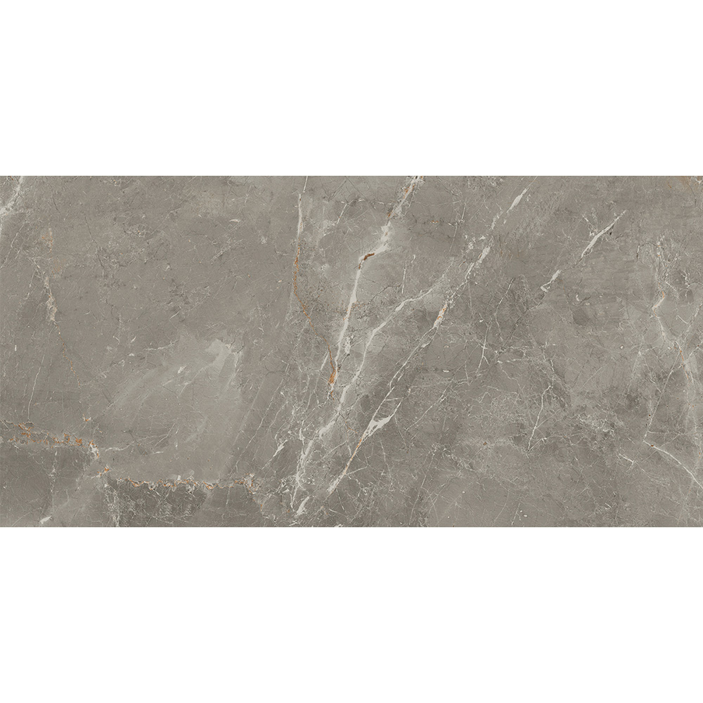 Salerno Argento 30x60 Blank Salerno Argento 30x60 Blank - Billede 2