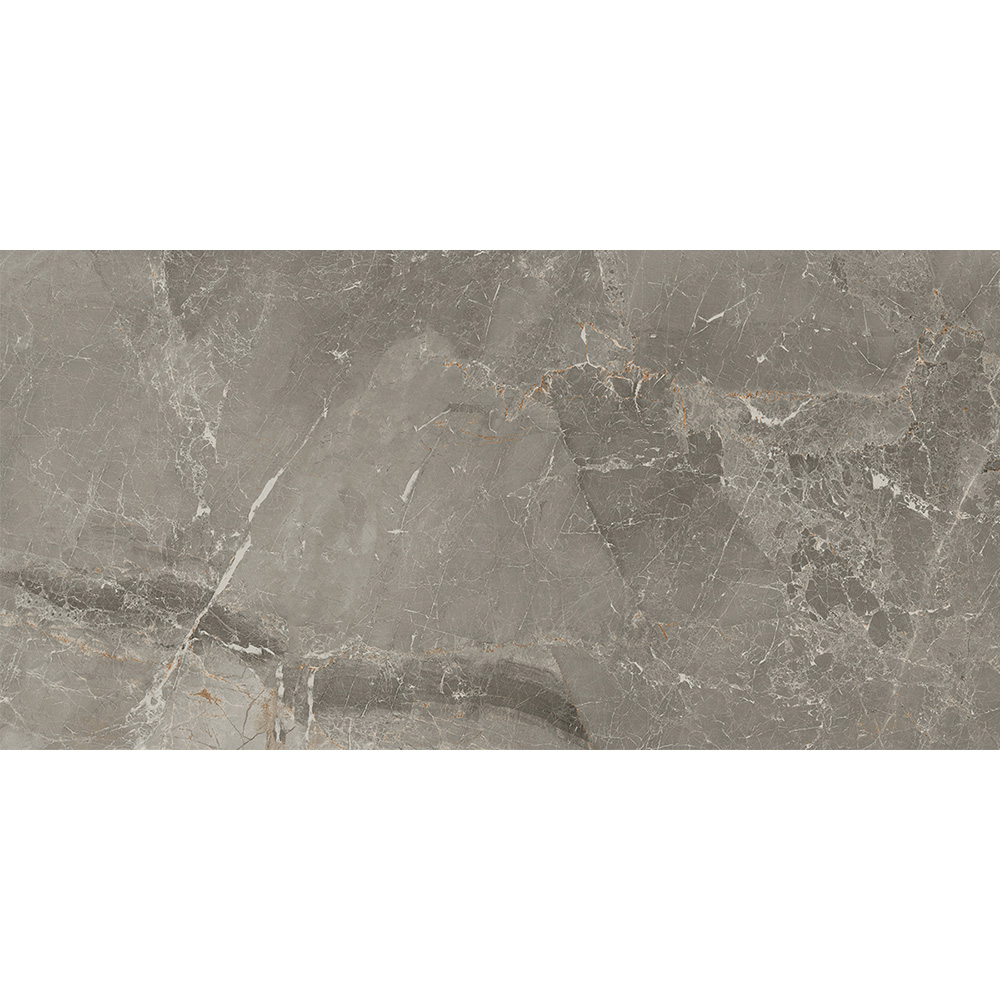 Salerno Argento 30x60 Blank Salerno Argento 30x60 Blank - Billede 3