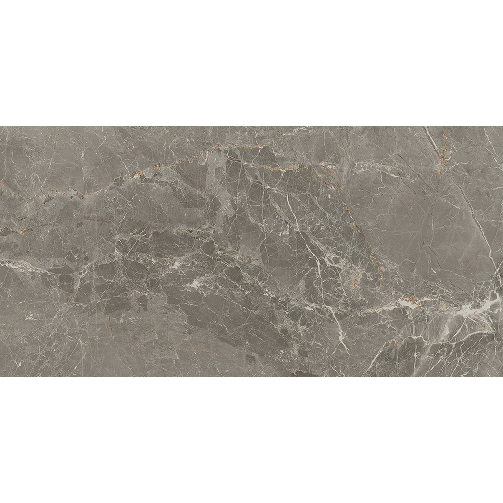 Salerno Argento 30x60 Blank Salerno Argento 30x60 Blank - Billede 4