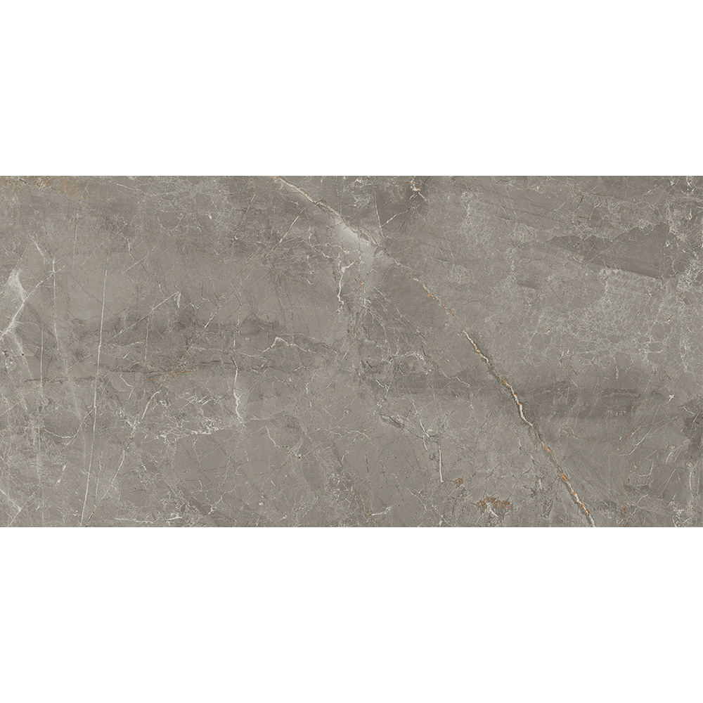 Salerno Argento 30x60 Blank Salerno Argento 30x60 Blank - Billede 5