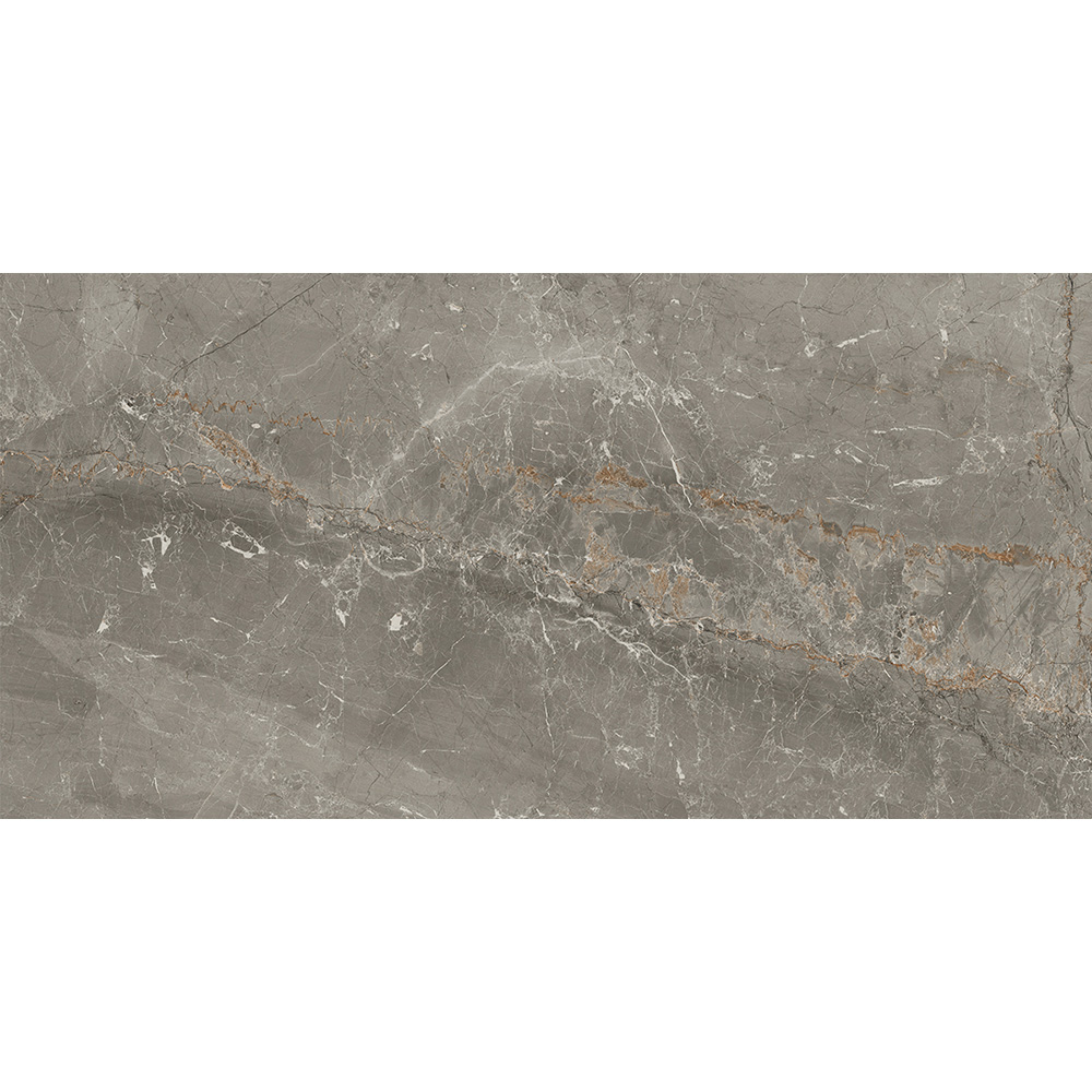 Salerno Argento 30x60 Blank Salerno Argento 30x60 Blank - Billede 6