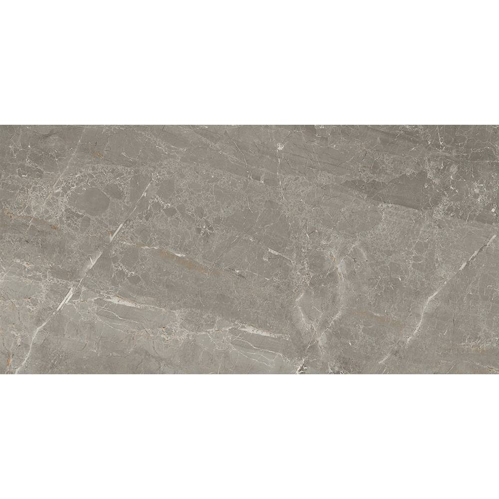 Salerno Argento 30x60 Blank Salerno Argento 30x60 Blank - Billede 7