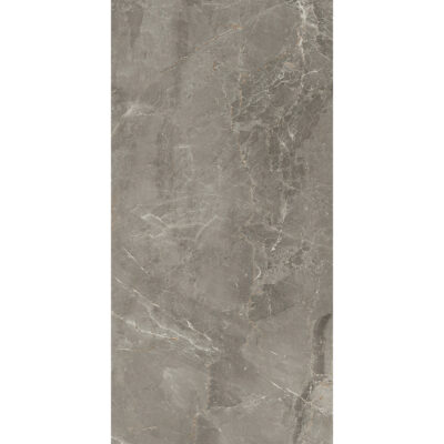 Salerno Argento 60x120 Blank Salerno Argento 60x120 Blank