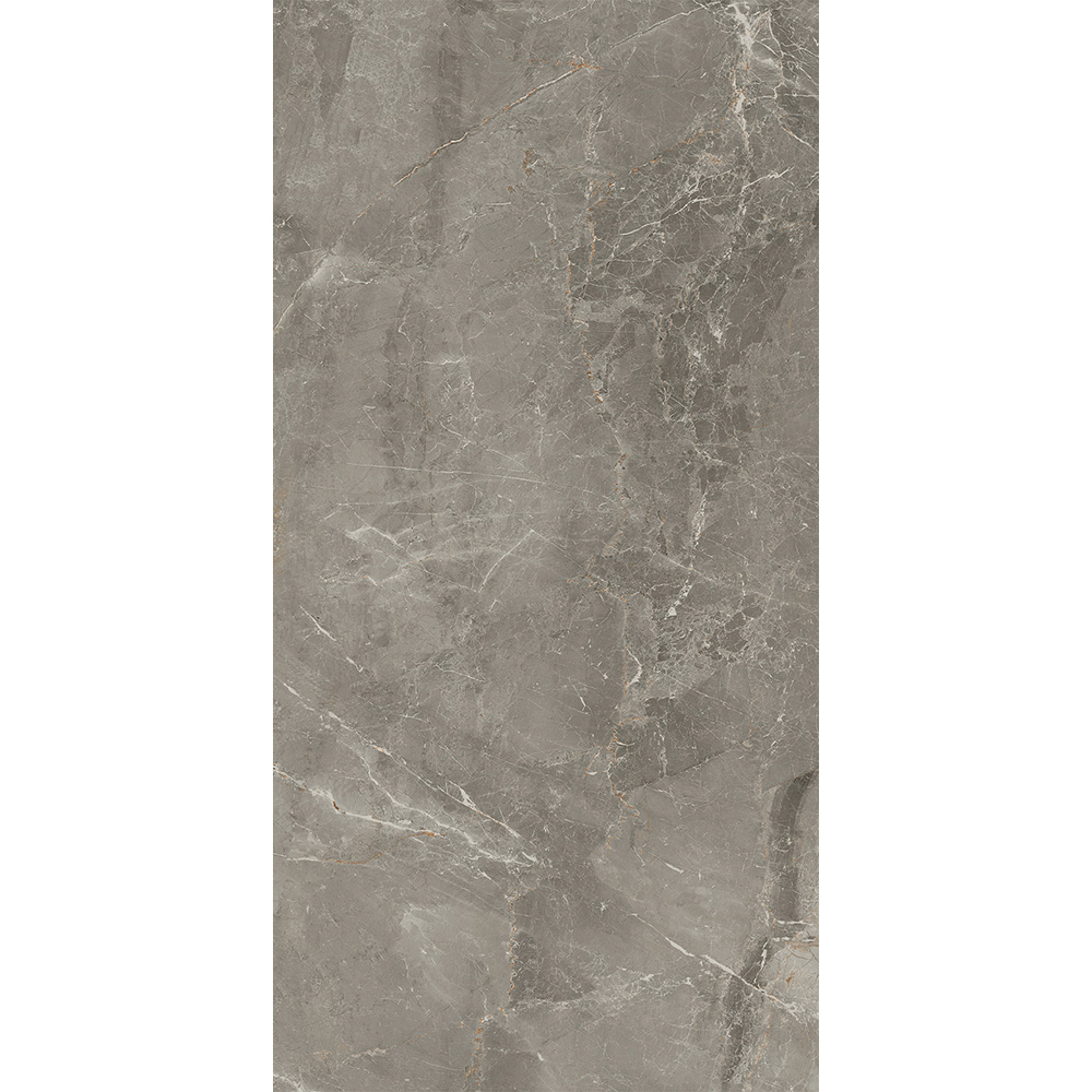Salerno Argento 60x120 Blank Salerno Argento 60x120 Blank - Billede 2