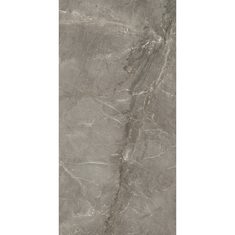 Salerno Argento 60x120 Blank Salerno Argento 60x120 Blank - Billede 7