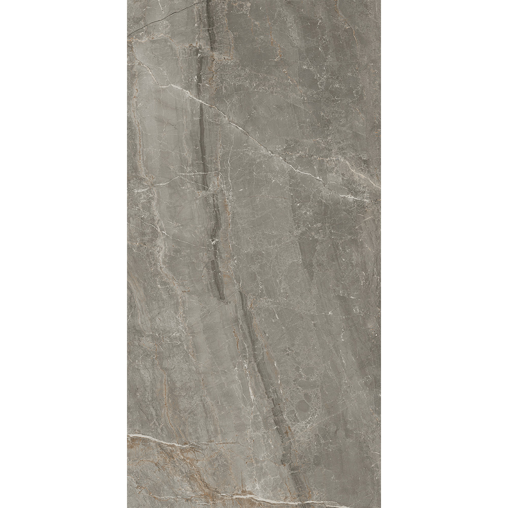 Salerno Argento 60x120 Mat Salerno Argento 60x120 Mat - Billede 5