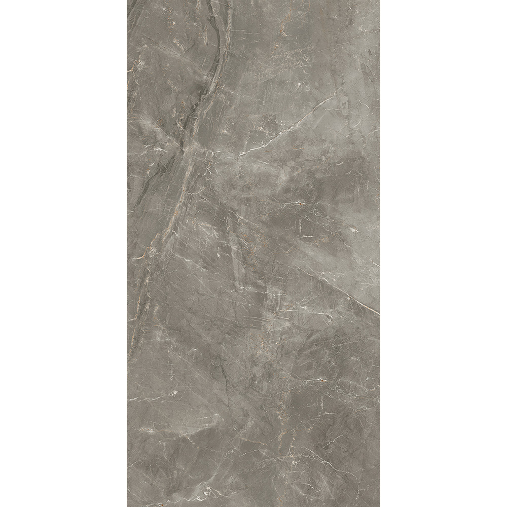 Salerno Argento 60x120 Mat Salerno Argento 60x120 Mat - Billede 6