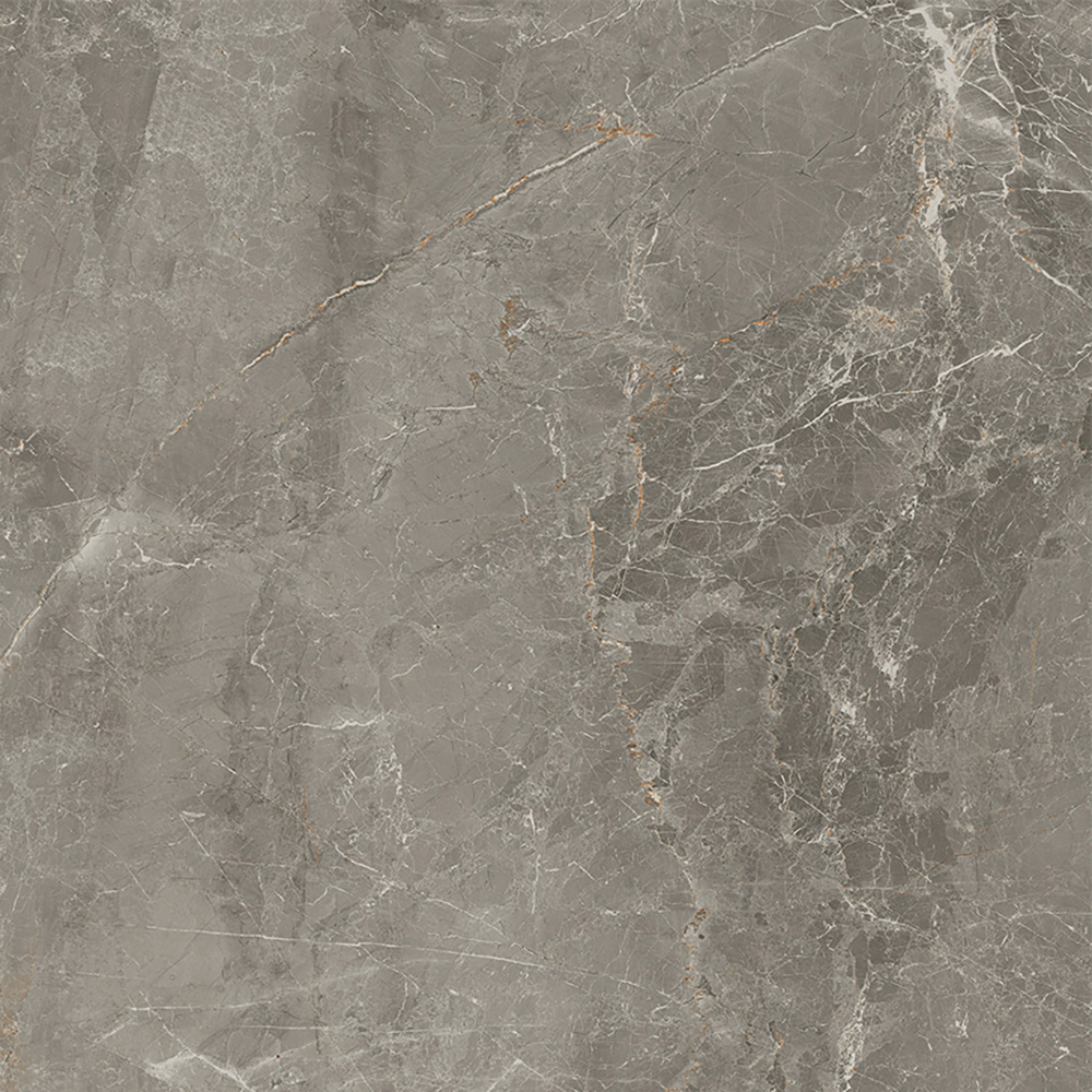 Salerno Argento 60x60 Ru Salerno Argento 60x60 Ru - Billede 2