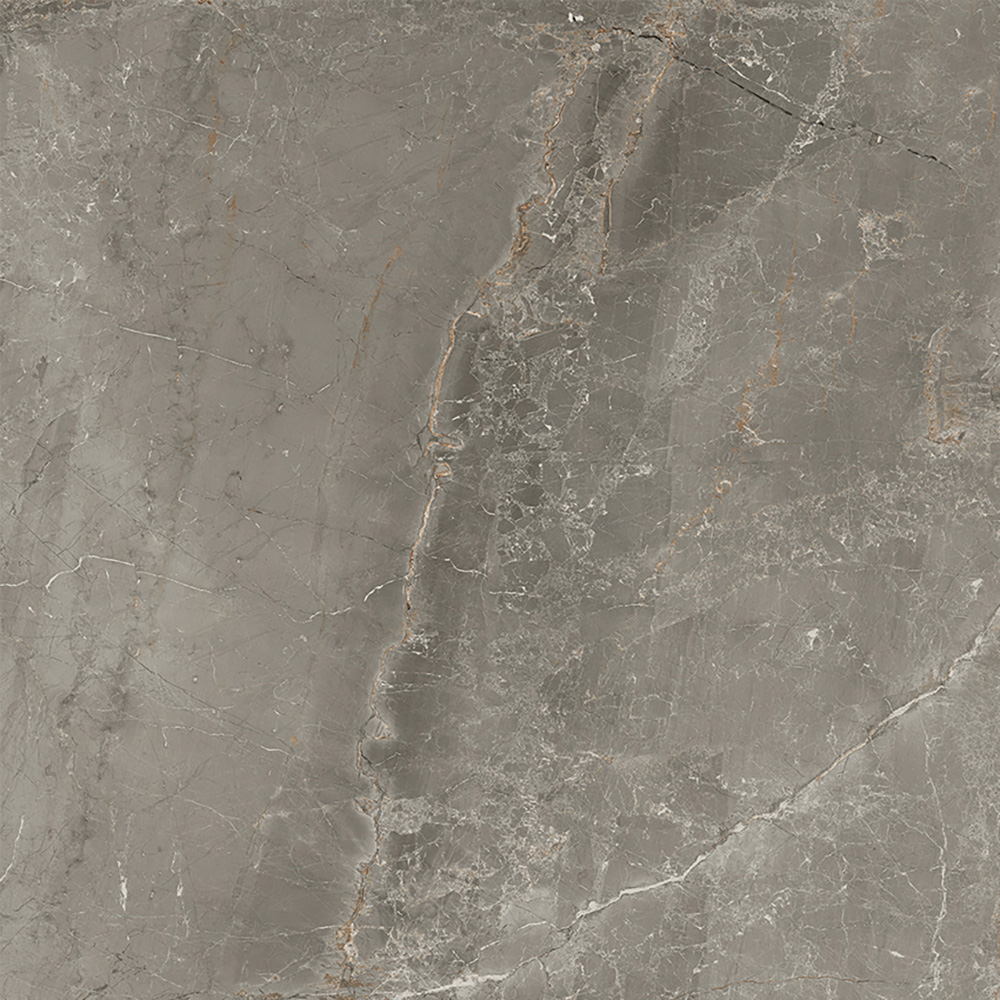 Salerno Argento 60x60 Ru Salerno Argento 60x60 Ru - Billede 4