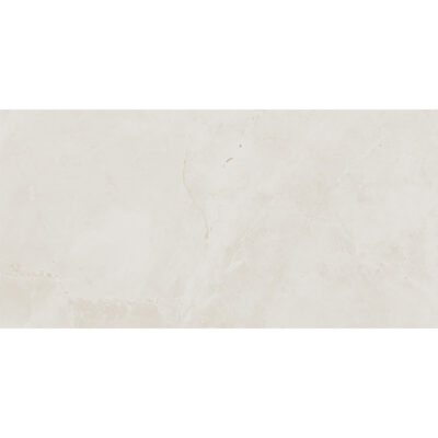 Salerno Bianco 30x60 Blank Salerno Bianco 30x60 Blank
