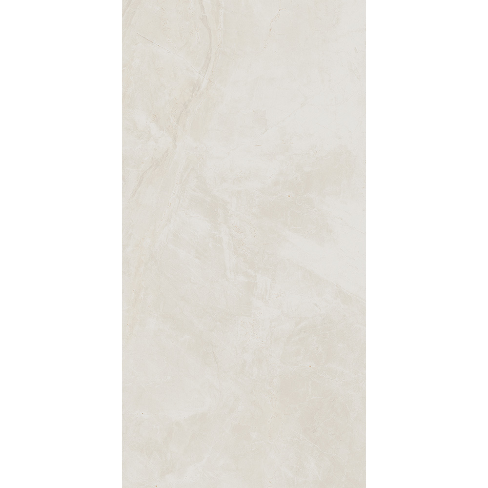 Salerno Bianco 60x120 Blank Salerno Bianco 60x120 Blank - Billede 6