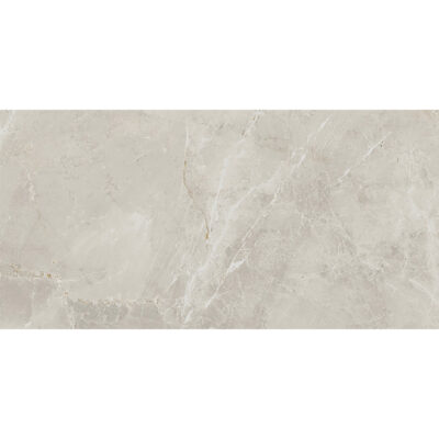 Salerno Grigio Luce 30x60 Blank Salerno Grigio Luce 30x60 Blank
