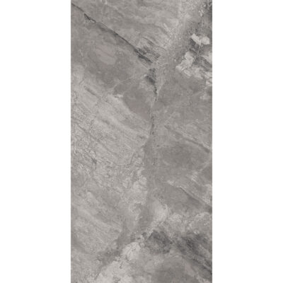 Prato Argento 60x120 Blank